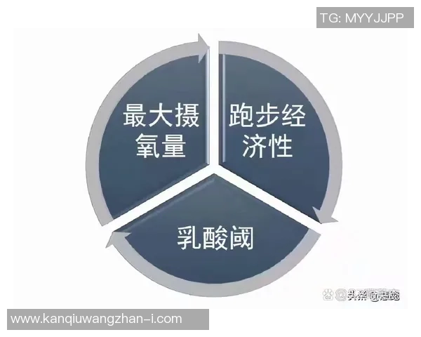 世界杯新闻广州乒乓球队耐力提升之路与训练方法的深入分析与探讨